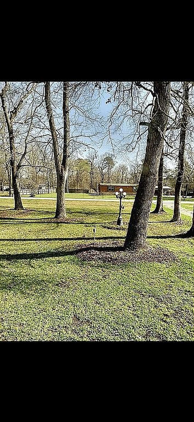 Image of 172 County Road 4291