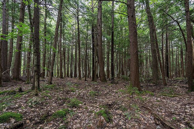 Photo of Lot 3 Old Beaver Pond Rd, Winhall, VT