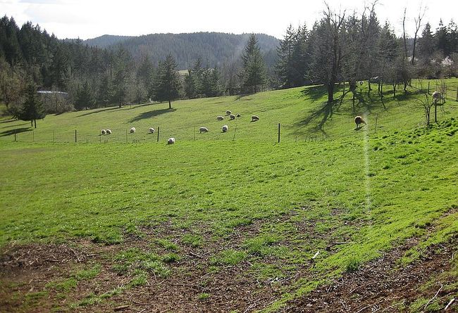 Photo of 15790 Oakdale Rd, Dallas, OR