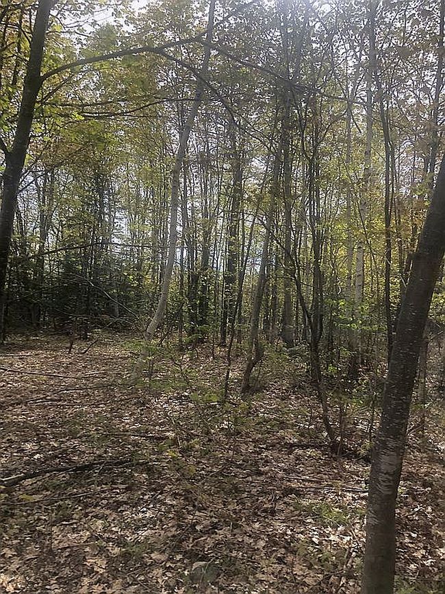 Image of Tecumseh Rd