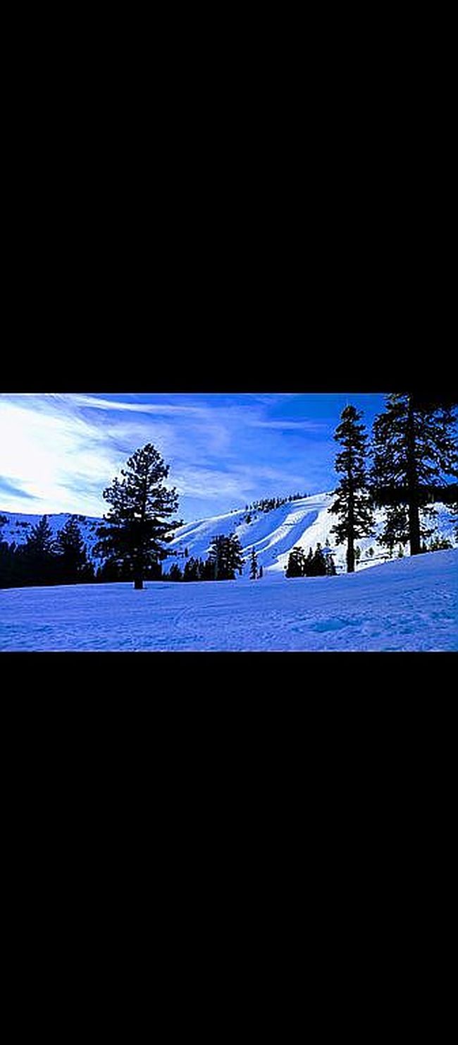 Image of 4095 Courchevel Rd
