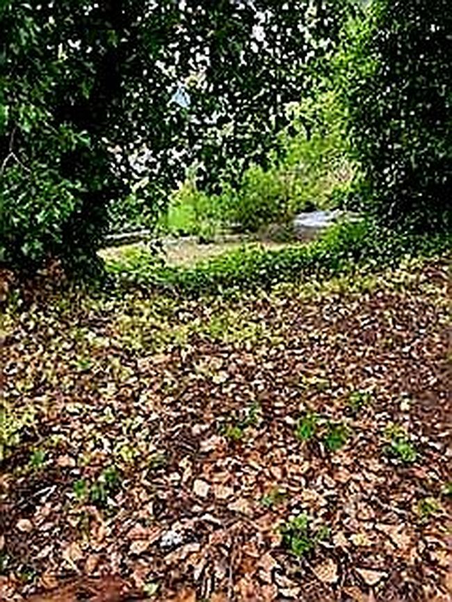 Image of 55 Church Rd