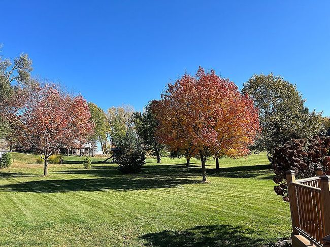 Image of 2279 Pheasant Ridge Ln