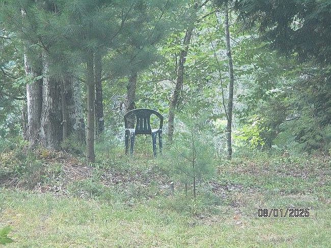 Photo of 26031 Pike Lake Rd, Nisula, MI