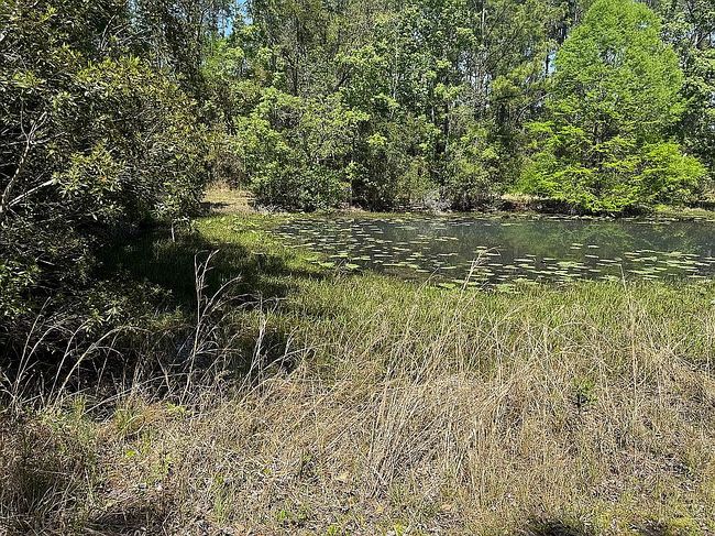 Photo of 140 Buffalo Bluff Rd, Palatka, FL