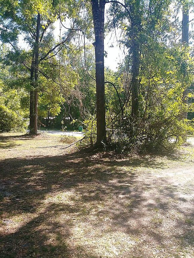 Image of 10080 Blue Waters Rd