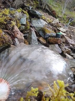 161 W Lightning Loop Rd, Stites, ID