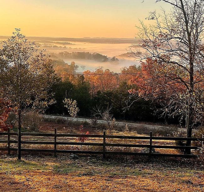 Image of 2561 County Road 542