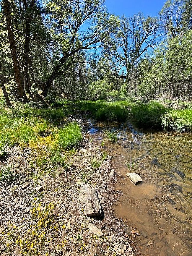 Image of 11178 Big Creek Rd