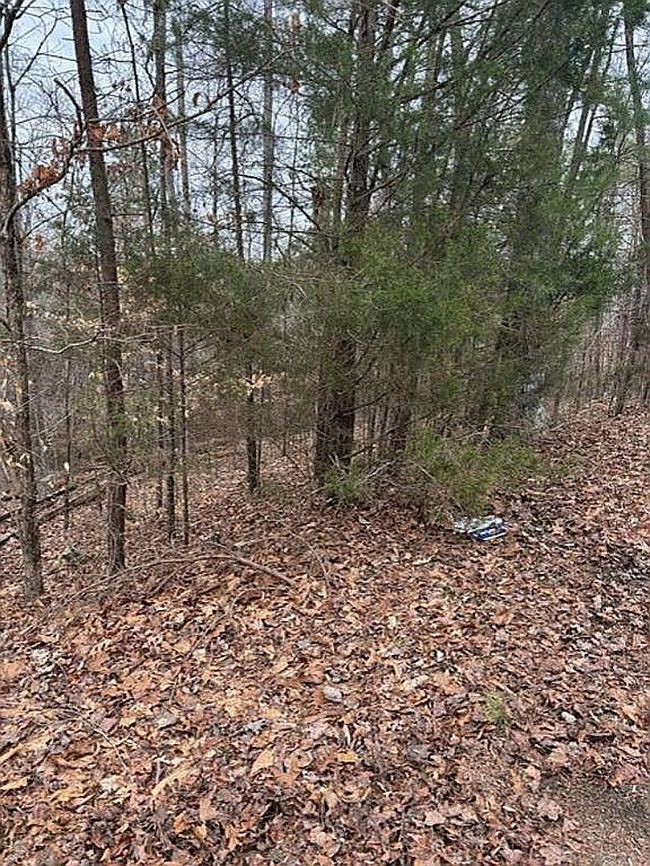 Image of 63 Stoney Rock Ln
