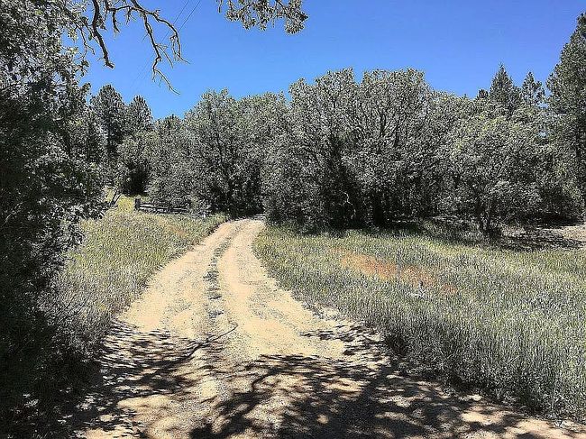 Image of El Macho Pecos Cyn N