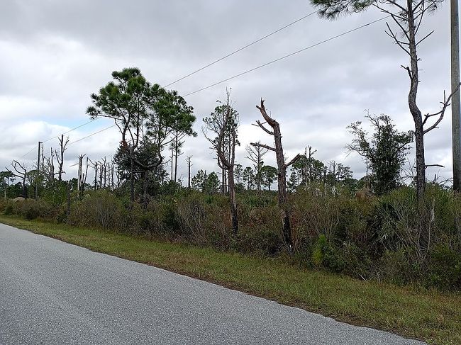 Photo of 8214 Granada Blvd, Sebring, FL