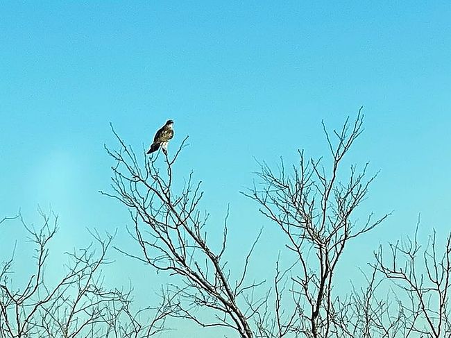 Additional photo 3 of property located at 173 Private Road 320