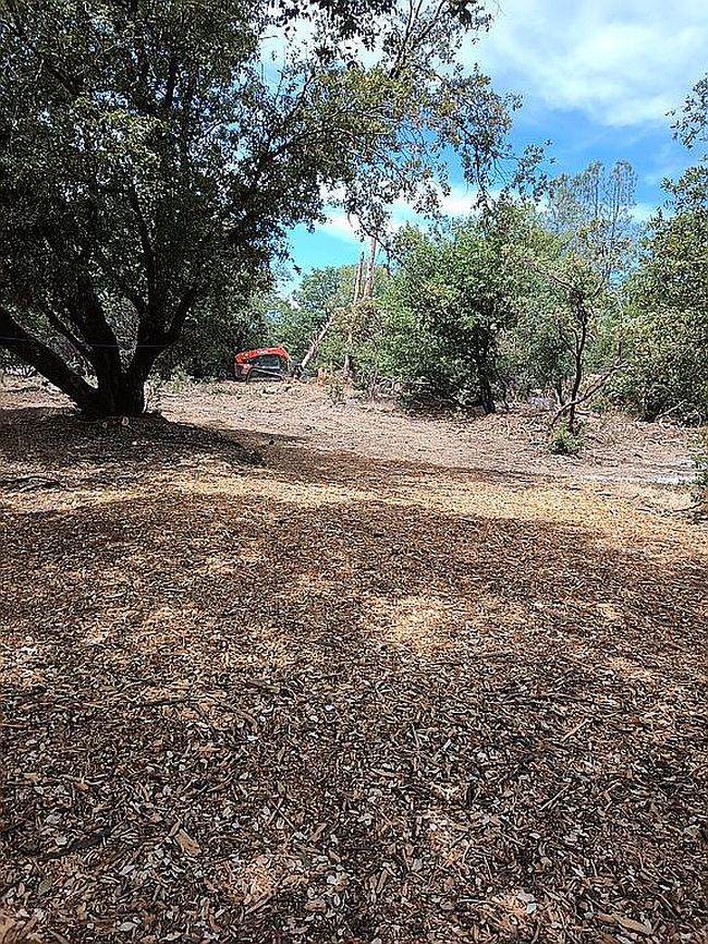 Photo of 5430 Clouds Rst, Mariposa, CA
