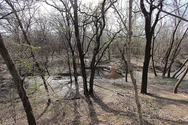 Image of 3800 Cedar Ridge Ct