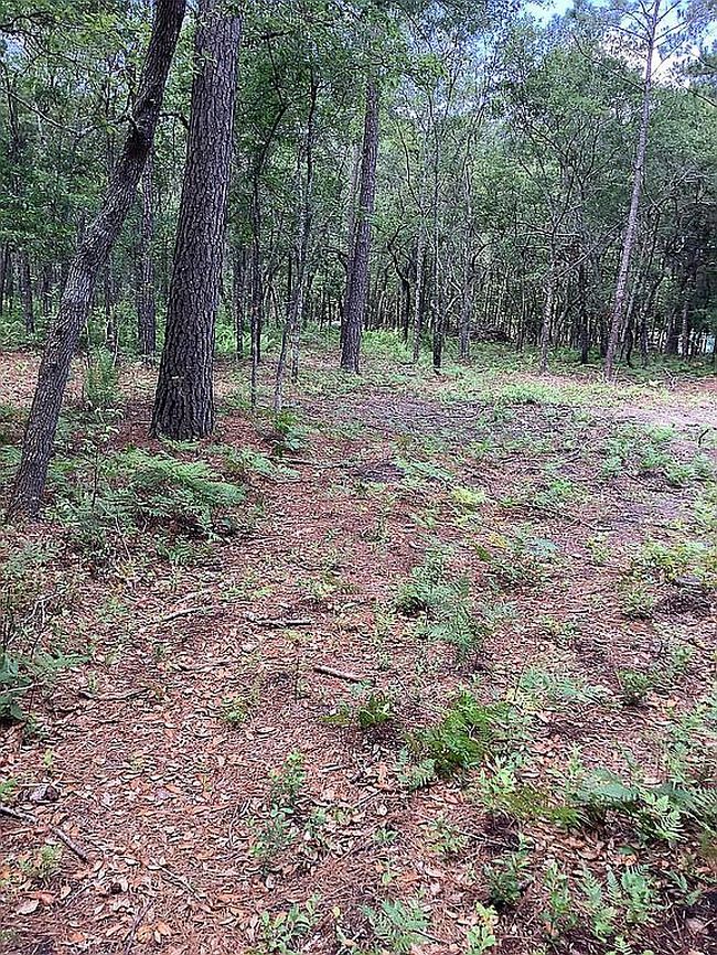 Photo of 141 Ephraim Rd, Saint Helena Island, SC