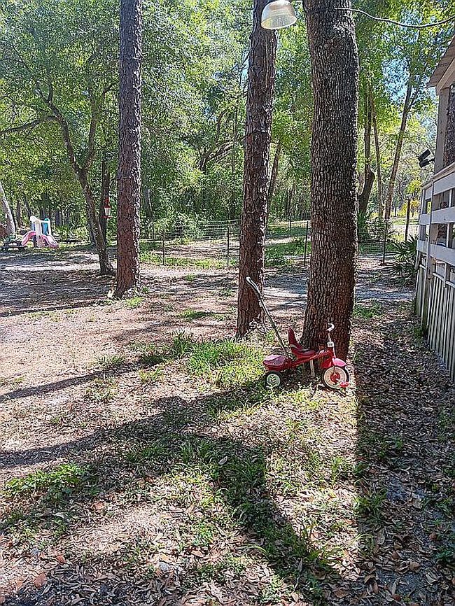 Photo of 35117 Cheshire St, Dade City, FL