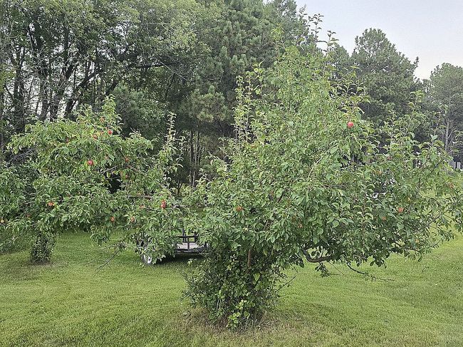 Image of 28359 W Silent Dr