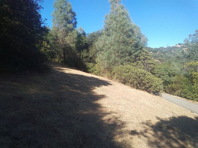 Image of 12630 Lakeview Dr