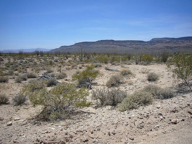 Image of Lot 74 Roosevelt Road