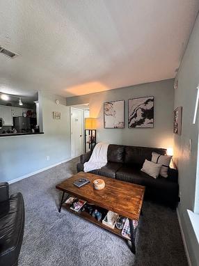 Image of 7701 Timberlin Park Blvd Apt 923