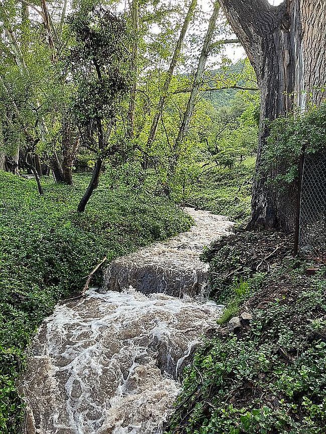 Image of 44 E Ramsey Canyon Rd
