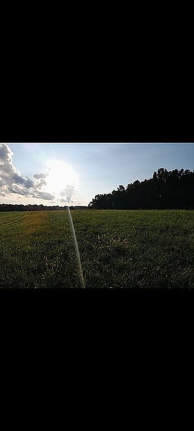 Image of 1479 Railroad Bed Rd