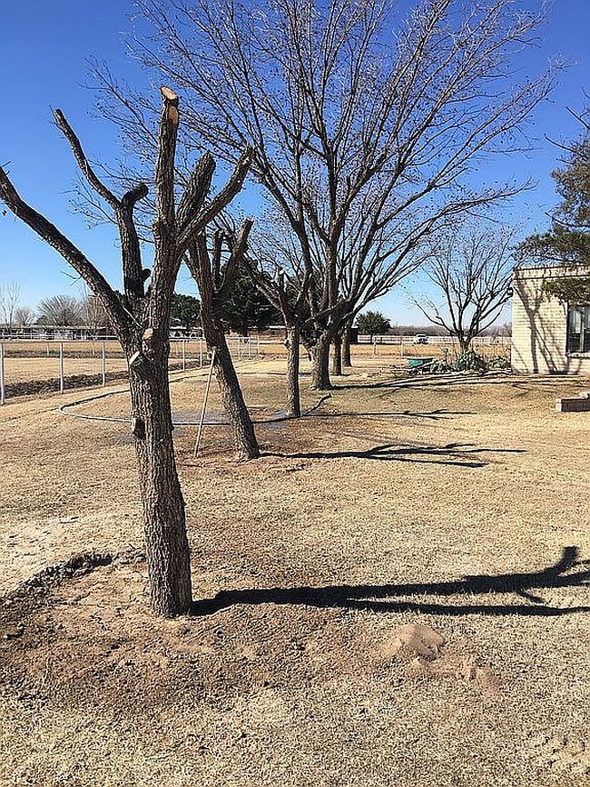 Photo of 7770 Westside Rd, Anthony, TX