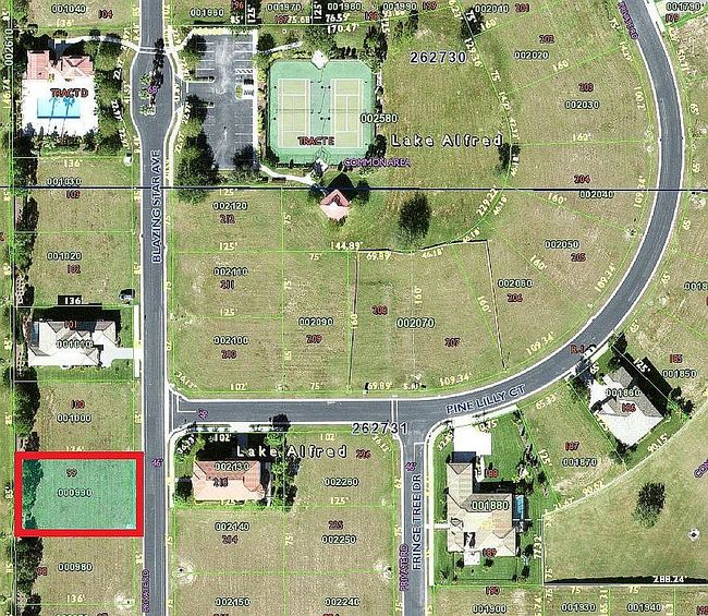 Photo of 167 Blazing Star Ave, Lake Alfred, FL