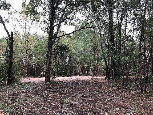 Image of 700 Slocomb Rd