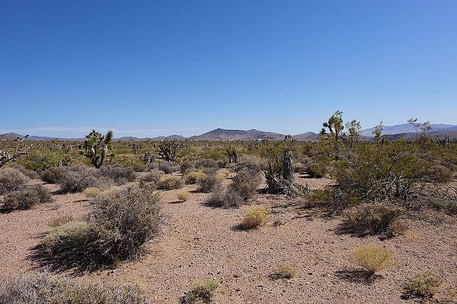 Photo of 8346 W Indian Peak Dr, White Hills, AZ