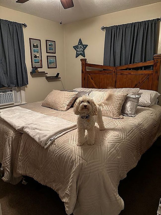 Additional photo 1 of property located at 12507 Bowling St