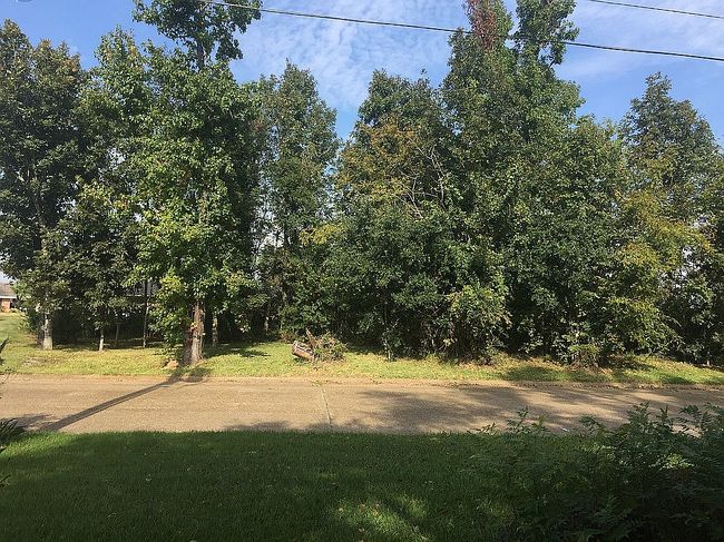 Image of 2236 Barbe St