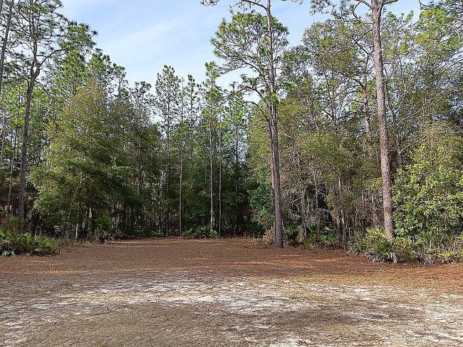 Photo of 281 Ne 817th St, Old Town, FL