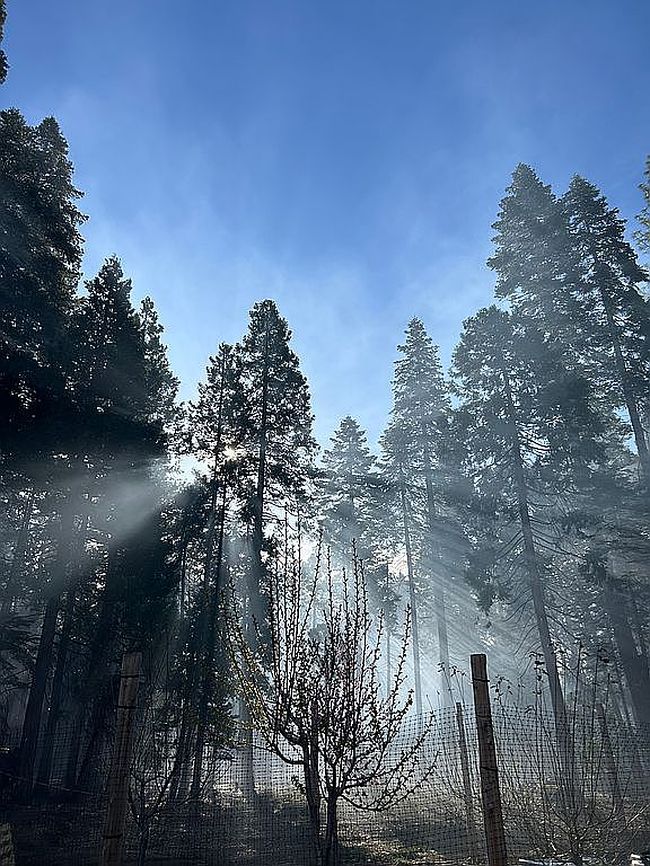 Photo of 745 Hide Away Loop, Alta, CA