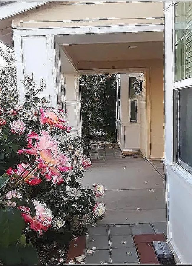 Image of 9670 Canopy Tree St