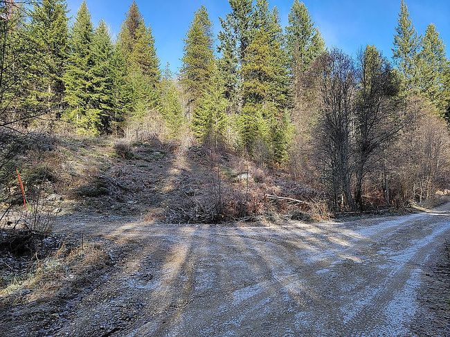 Photo of Cedar Creek Rd, Ione, WA