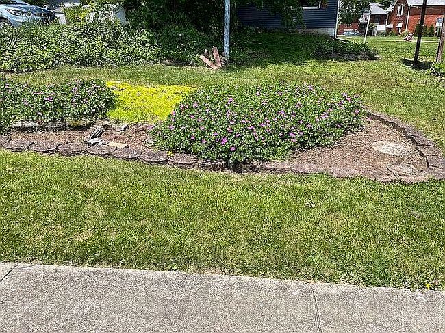 Image of 519 1st St