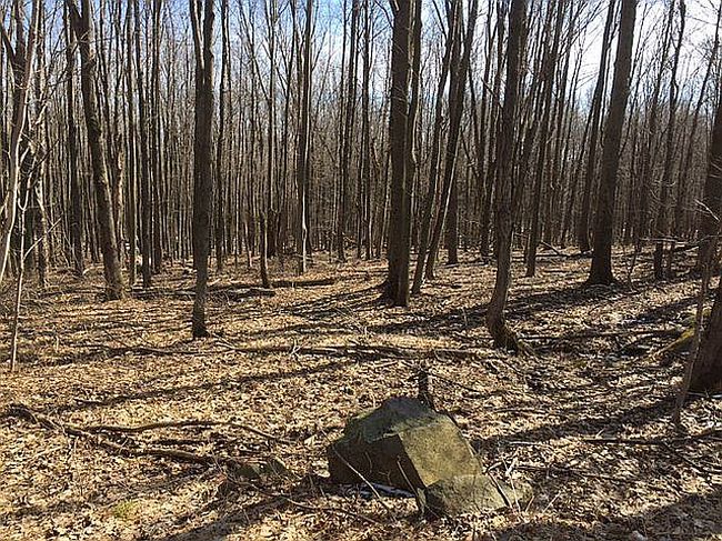 Image of 7151 County Road 15