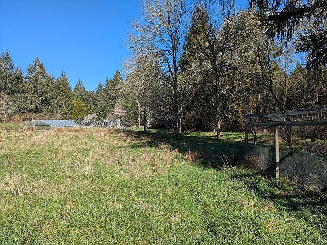 Image of 3748 Old Railroad Grade Rd
