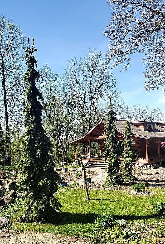 Photo of 530 Spike Buck Ln