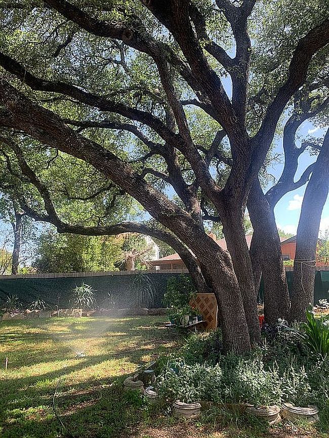 Photo of 1305 Doonesbury Dr, Austin, TX
