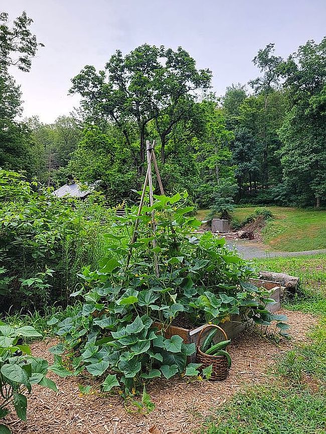 Photo of 1640 Dunkleberger Rd, Elliottsburg, PA