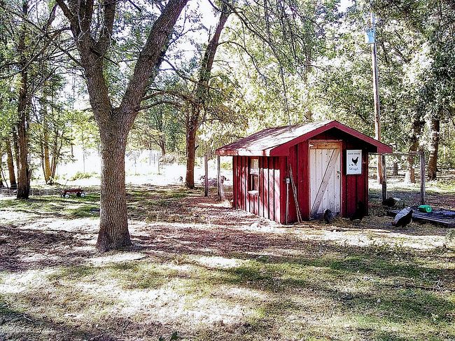 10496 160th St Ne, Thief River Falls, MN