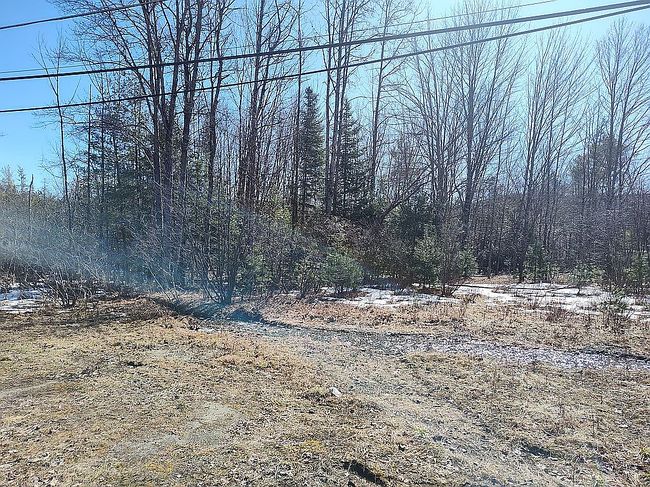 Image of 162 Palisades Rd