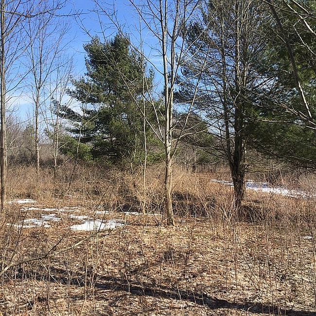 Image of 7151 County Road 15