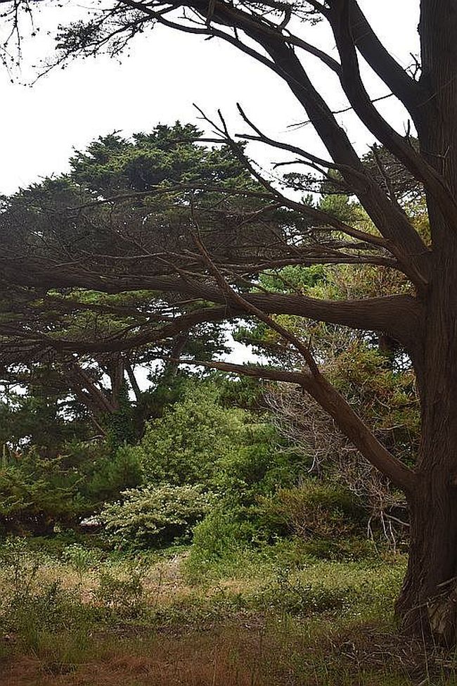 Photo of 10851 Ford St, Mendocino, CA