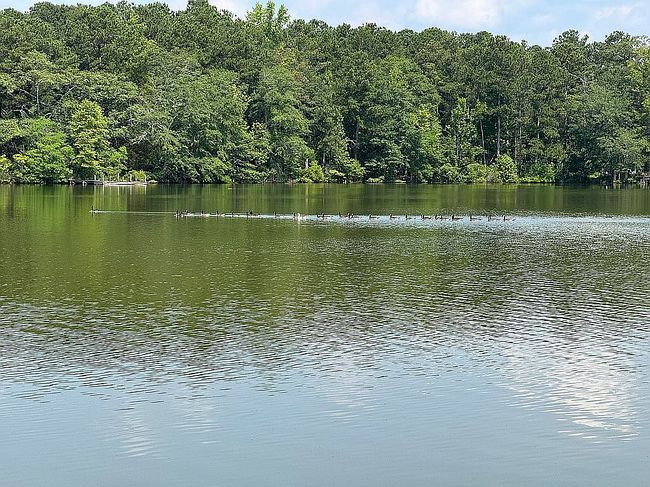 Photo of 34 Willow Beach Rd, Ellerslie, GA