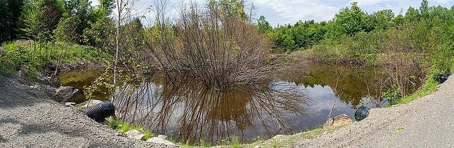 Photo of 10 Phoebe Island Rd, Dover Foxcroft, ME