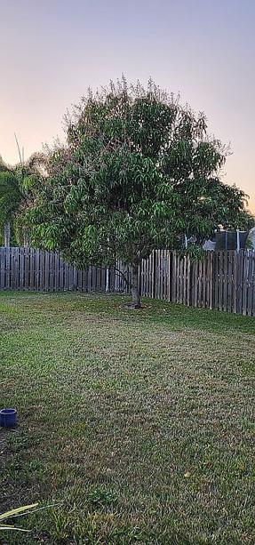 Image of 10341 Sw 140th St